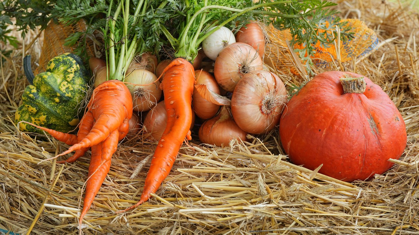 Karotten, Kürbis und Zwiebeln liegen auf Stroh. (Foto: dpa Bildfunk, picture alliance/dpa | Soeren Stache)
