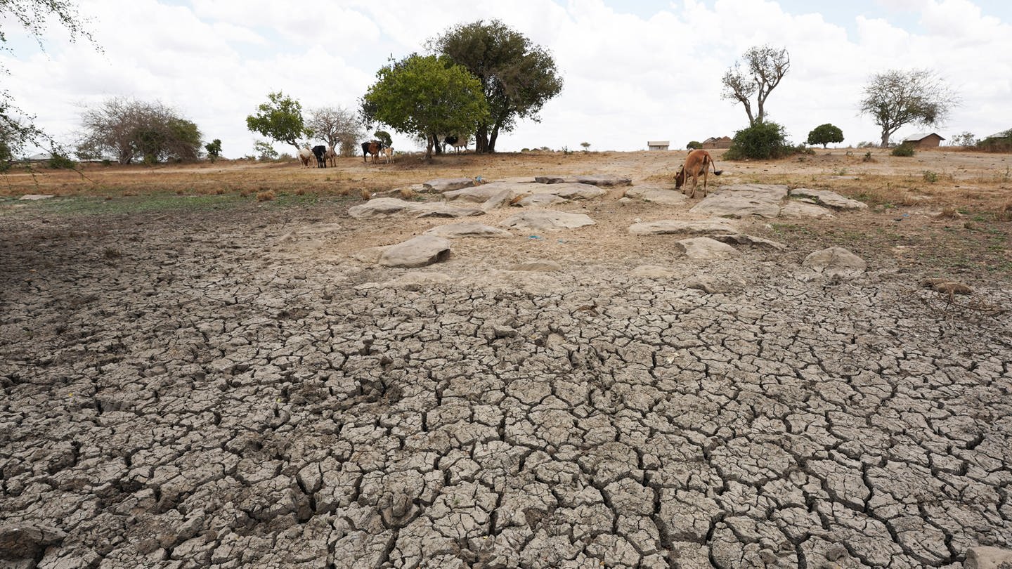 Das Land am Horn von Afrika kämpft nun mit der dritten Dürre innerhalb eines Jahrzehnts (Foto: dpa Bildfunk, picture-alliance / Reportdienste, picture alliance/dpa/XinHua | Dong Jianghui)
