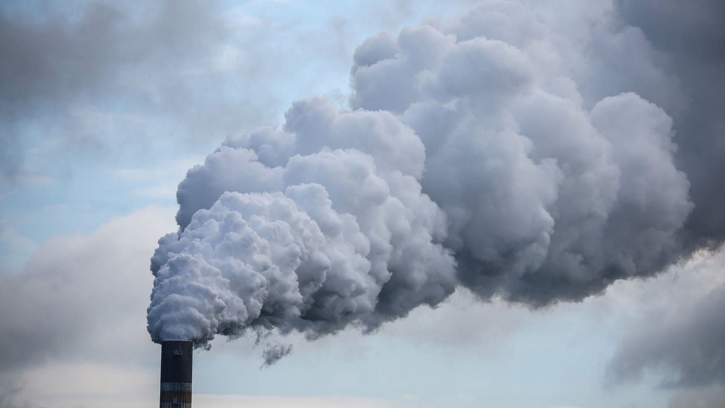 Klimaschutz - Chancen und Grenzen der CO2-Speicherung (Foto: dpa Bildfunk, Jan Woitas)