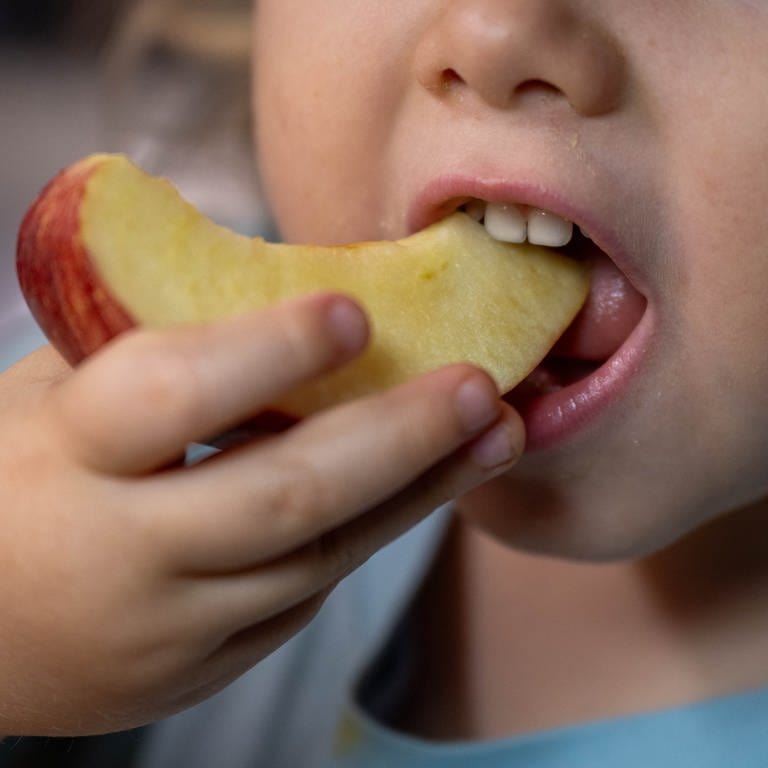 Ein Kind isst ein Stück Apfel von einem Teller mit Snacks. (Foto: dpa Bildfunk, picture alliance/dpa | Hendrik Schmidt)