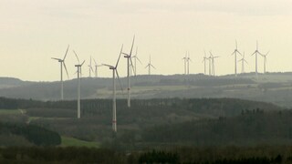 Viele Windräder stehen in einer waldigen Landschaft. In Rheinland-Pfalz soll Windkraft künftig stärker ausgebaut werden. (Foto: SWR)