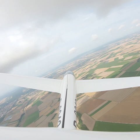 ein Segelflieger in der Luft (Foto: SWR)