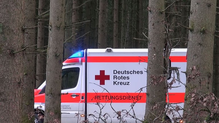 Rettungswagen hinter Bäumen nach Unfall eines Mannes beim Aufräumen nach Sturmschäden durch "Sabine" (Foto: SWR, Winkler TV)