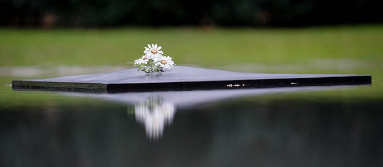 Zum Gedenken der Opfer des Nationalsozialismus wurden Blumen niedergelegt.  (Foto: dpa Bildfunk, Picture Alliance)