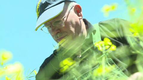 Foto von Landwirt Uwe Bißbort. Er guckt von oben in die Kamera. Umrahmt ist er von Rapsblüten. Sein Raps wird vor allem zu Biodiesel.  (Foto: SWR)