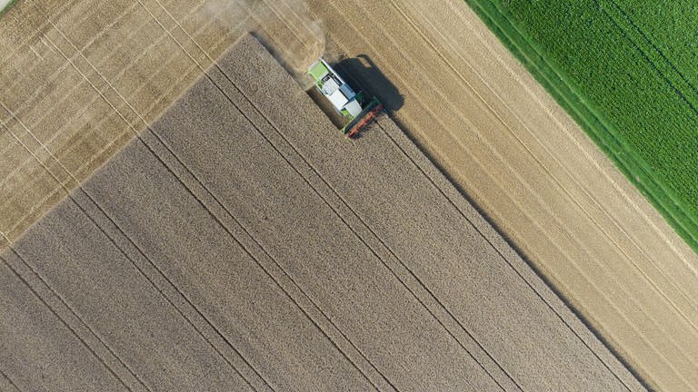 Luftaufnahme von einem Mähdrescher, der über ein Weizenfeld fährt (Foto: dpa Bildfunk, picture alliance/dpa | Boris Roessler)