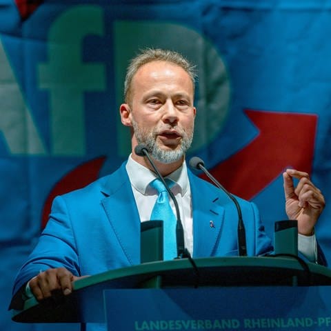 Parteitag wählt Jan Bollinger zum neuen AfD-Landeschef (Foto: dpa Bildfunk, Picture Alliance)