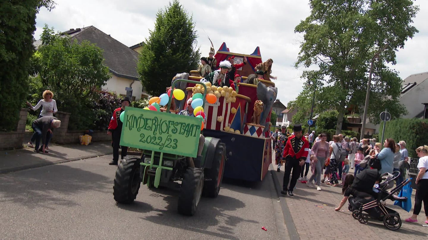 Karneval Umzugswagen (Foto: SWR)