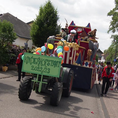 Karneval Umzugswagen (Foto: SWR)