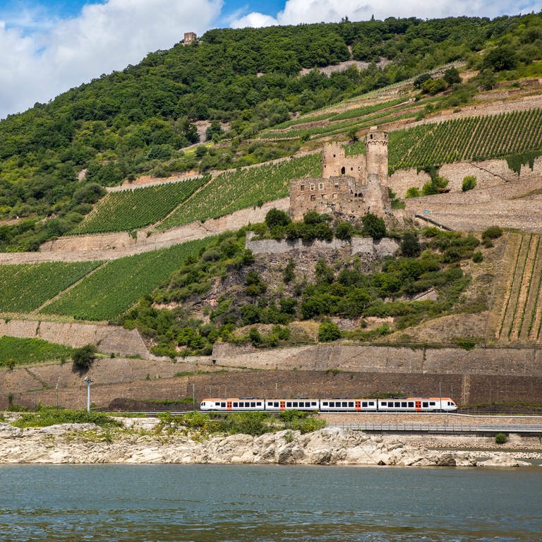 Eine Regionalbahn fährt am Binger Mäuseturm vorbei. Unter ihr der Rhein. Hinten ist die Burg Ehrenfels. (Foto: picture-alliance / Reportdienste, picture alliance / Jochen Tack | Jochen Tack)