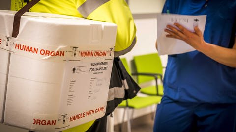 Klinikmitarbeiter nimmt gespendetes Organ entgegen. (Foto: dpa Bildfunk, picture alliance / ANP | lex van lieshout fotografie)