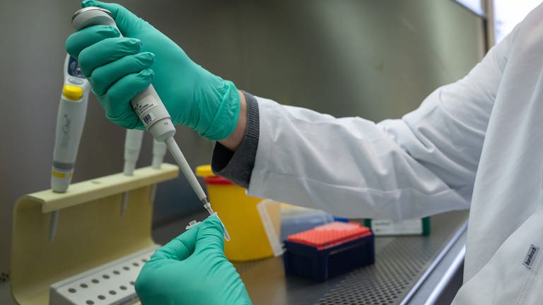 Forscher bereitet PCR-Test vor. (Foto: dpa Bildfunk, picture alliance/dpa | Sebastian Gollnow)