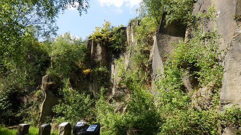 Das Mayener Grubenfeld: Schroffe Felswände und Infotafel auf der Wiese (Foto: Stadtverwaltung Mayen)