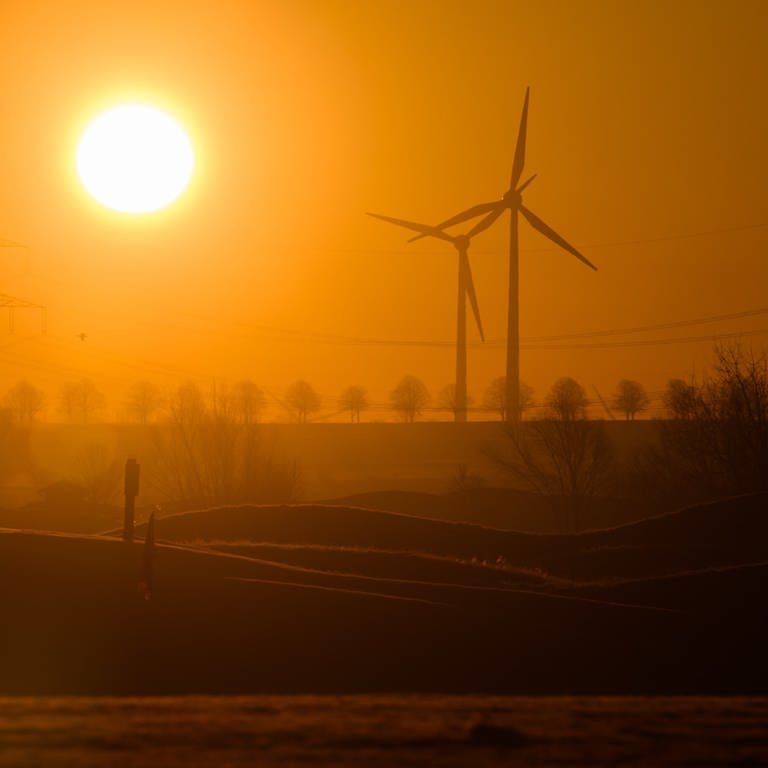 Windräder im Sonnenuntergang (Foto: dpa Bildfunk, Picture Alliance)