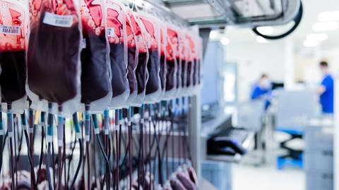 Blutkonserven werden im Zentrallabor des DRK-Blutspendedienstes für Krankenhäuser und Praxen gefiltert und aufbereitet. (Foto: picture-alliance / Reportdienste, picture alliance/dpa | Rolf Vennenbernd)