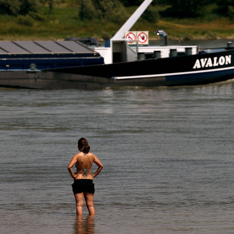 Eine Frau steht im Rhein (Foto: dpa Bildfunk, picture alliance/dpa | Oliver Berg)