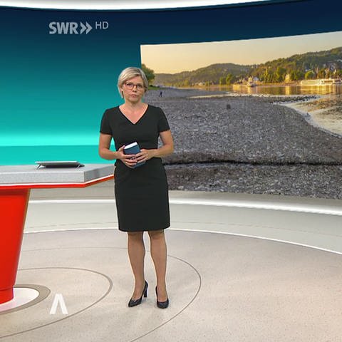 Nachrichtensprecherin Dorit Friederike Becker (Foto: SWR)