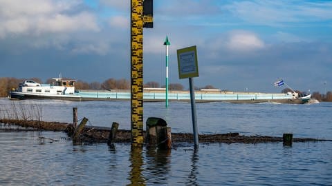 Mit einer Pegellatte wird der WAsserstand am Rhein festgestellt (Foto: dpa Bildfunk, picture alliance / Jochen Tack | Jochen Tack)