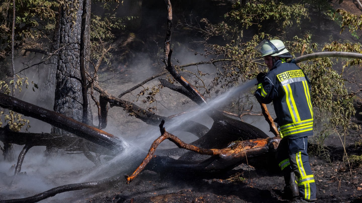 Ein Feuerwehrmann löscht einen Waldbrand in Kordel.