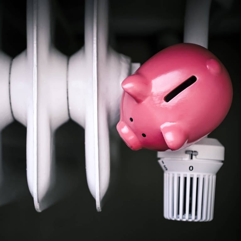 Ein rosa Sparschwein steht auf einer Heizung. Die Bundesregierung hat in einer neuen Energiesparverordnung Sparmaßnahmen beschlossen. (Foto: IMAGO, IMAGO / Christian Ohde)