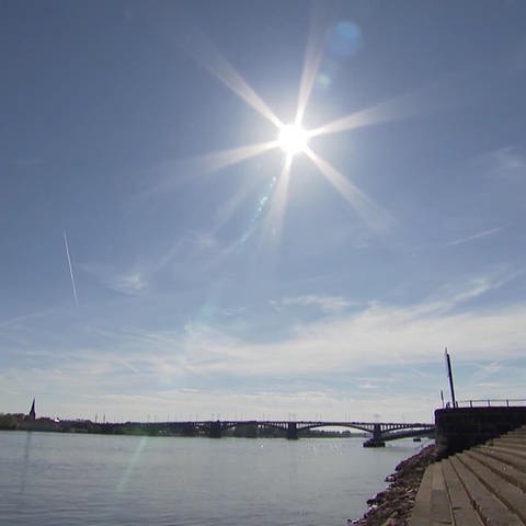 Sonne am Rhein in Mainz (Foto: SWR)