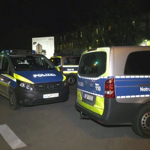 Polizeiautos (Foto: SWR)