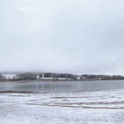 In Schnee und Nebel gehüllte Landschaft (Foto: SWR, SWR)