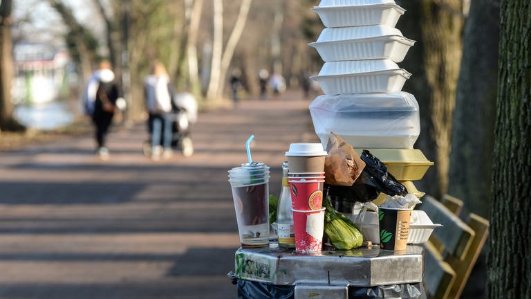 Ein voller Mülleimer in einem Park (Foto: dpa Bildfunk, picture alliance/dpa/dpa-Zentralbild | Jens Kalaene)