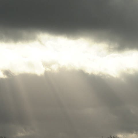 Wolkenbruch (Foto: SWR, SWR)