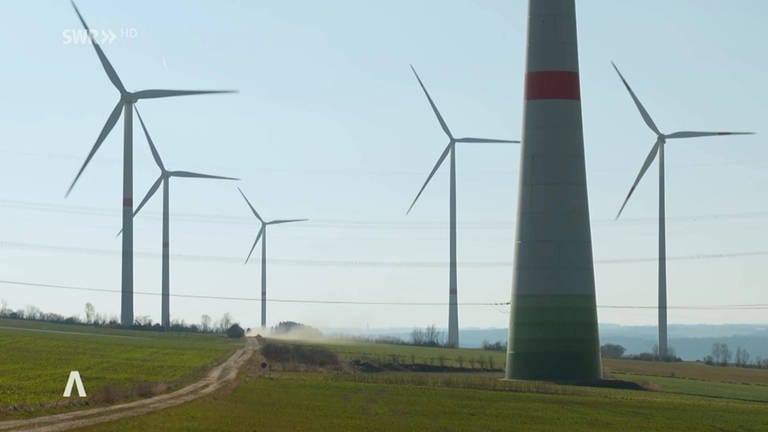 Windkrafträder (Foto: SWR)