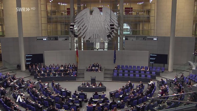 Im Bundestag (Foto: SWR)