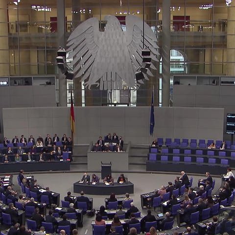 Im Bundestag (Foto: SWR)
