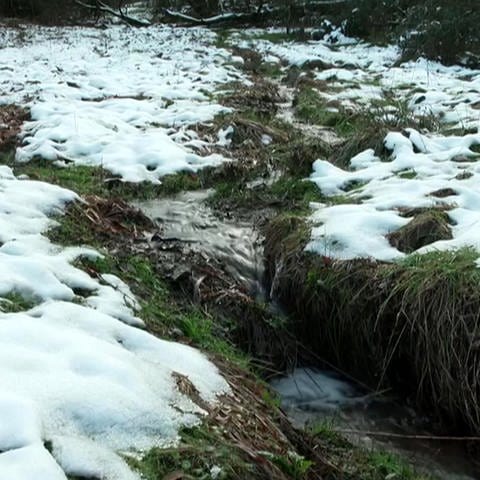 Bach fließt durch Schneelandschaft in Dümpelfeld (Foto: SWR)