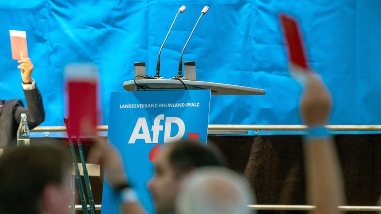 Delegierte halten auf dem Landesparteitag der rheinland-pfälzischen AfD Stimmzettel hoch (Archivbild). (Foto: dpa Bildfunk, picture alliance/dpa | Harald Tittel)
