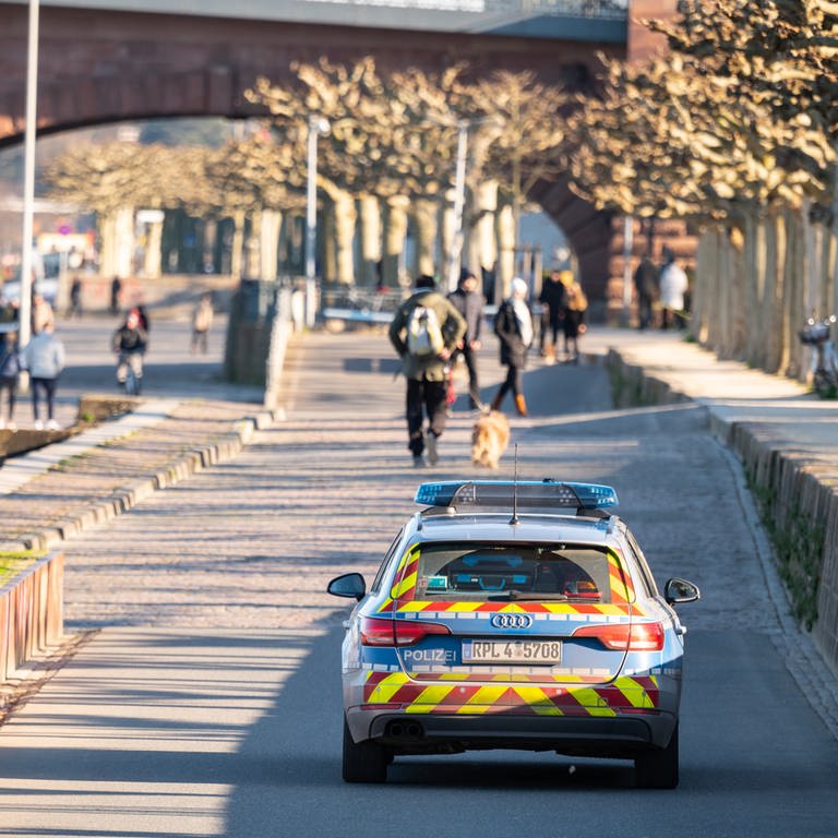Streifenwagen der Polizei am Mainzer Rheinufer (Archivbild) (Foto: dpa Bildfunk, picture alliance/dpa | Andreas Arnold)