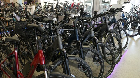 Fahrrad-Boom hält an, große Nachfrage nach E-Bikes (Foto: SWR)