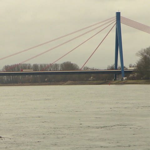 Autobrücke geht über Rhein (Foto: SWR, SWR)