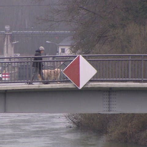 Spaziergänger geht mit Hund über Brücke (Foto: SWR, SWR)