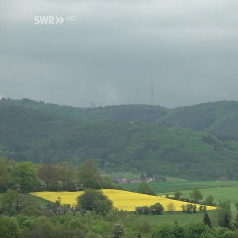 Land in Winnweiler (Foto: SWR)