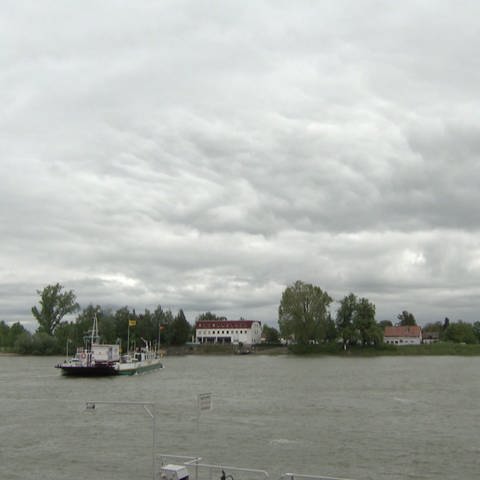 Die Rheinfähre in Nierstein (Foto: SWR, SWR)
