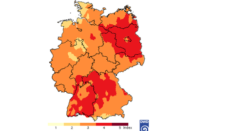 Der Waldbrandgefahrenindex des DWD gibt Auskunft über die aktuelle Waldbrandgefahr in Deutschland. In Rheinland-Pfalz sind Ende Mai und Anfang Juni vor allem der Rhein-Pfalz-Kreis sowie der Kreis Germersheim am stärksten bedroht (Stufe 4). Im Rest von RLP bei Waldbrand-Gefahrenstufte 3. (Foto: Deutscher Wetterdienst - Screenshot)