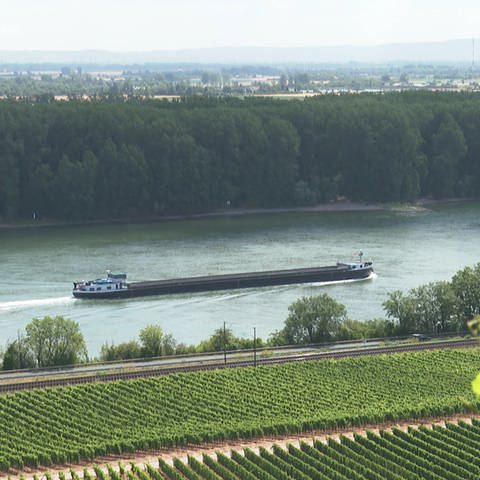 Ein Frachtschiff fährt den Rhein entlang (Foto: SWR, SWR)