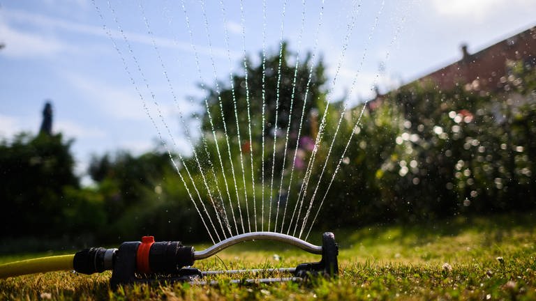 Auch in Rheinland-Pfalz nehmen die Grundwasserreserven ab und es regnet zu wenig, deshalb müssen Gartenlieberhaber umdenken. (Foto: picture-alliance / Reportdienste, picture alliance/dpa | Robert Michael)