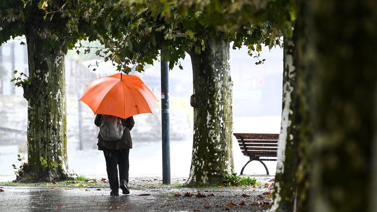 Eine Frau mit Regenschirm geht an einer Uferpromenade entlang, während es in Strömen regnet. (Foto: picture-alliance / Reportdienste, dpa | Felix Kästle)