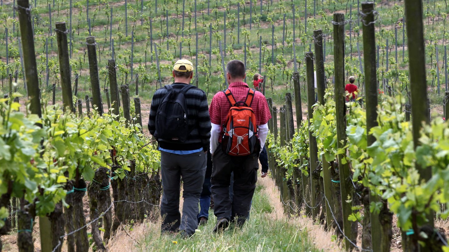 Freinsheim: Massenschlägerei bei Weinwanderung