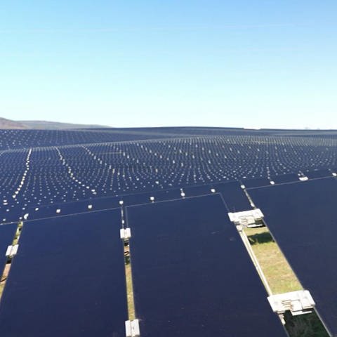 Solarpark (Foto: SWR)