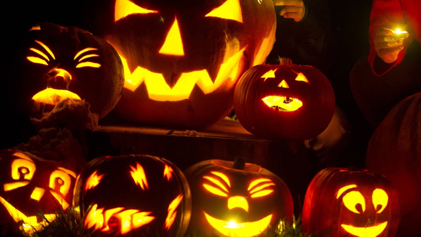Selbst geschnitzte Halloween-Kürbisse leuchten in einem Garten. (Foto: picture-alliance / Reportdienste, picture alliance/dpa/dpa-Zentralbild | Patrick Pleul)