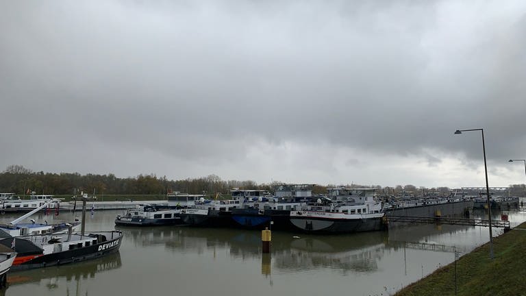 Hochwasserschutz am Mainzer Zollhafen erfolgreich getestet - SWR Aktuell