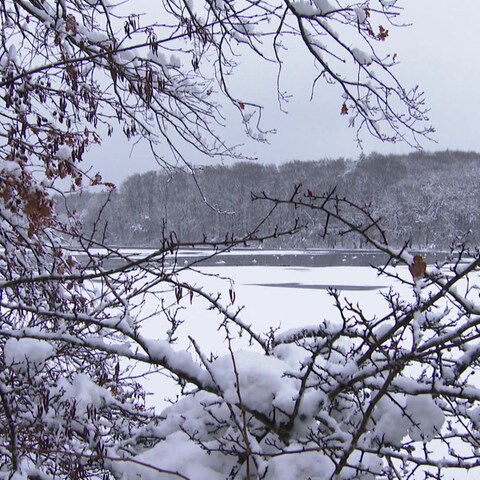Winterlandschaft im Westerwald (Foto: SWR)