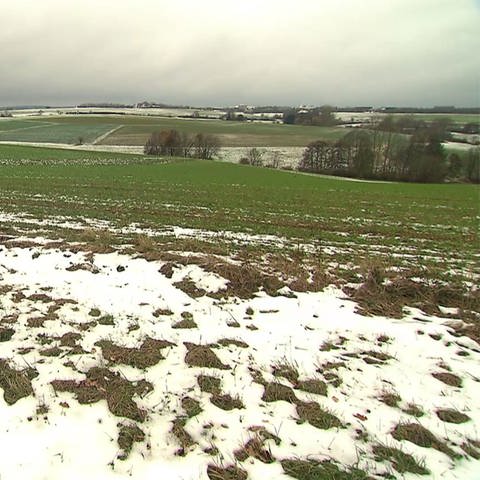 Landschaft mit Schnee (Foto: SWR)